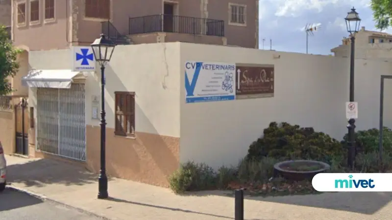 Clínica Veterinaria Petra | MiVet - Bild 1