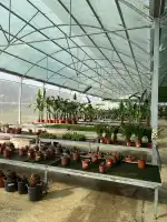 Jardineria Son Servera