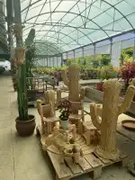 Jardineria Son Servera - Imagen 10