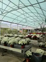 Jardineria Son Servera - Imagen 4