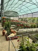 Jardineria Son Servera - Imagen 7