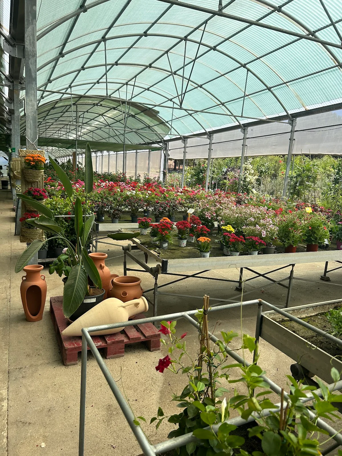 Jardineria Son Servera Manolo Guadix - Bild 7