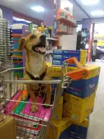 Folder Papelerías - Bild 6