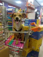 Folder Papelerías - Bild 8