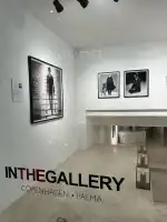 IN THE GALLERY - Bild 9