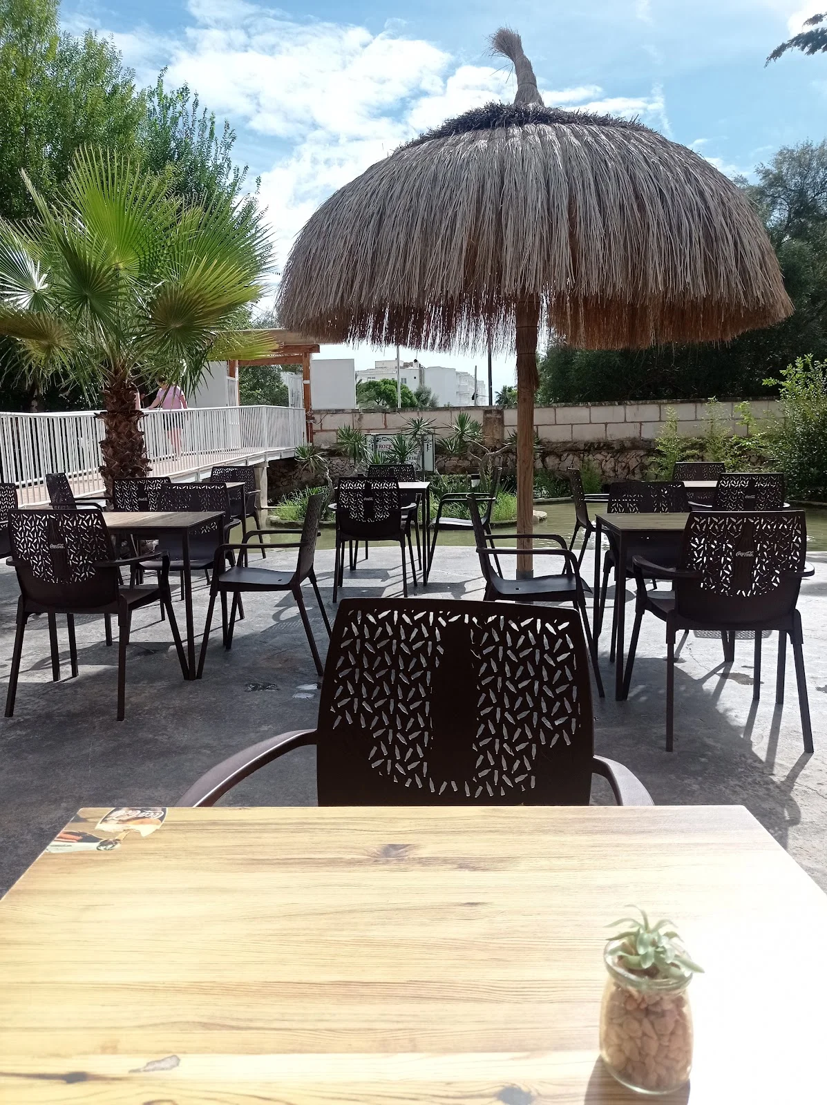Tropical Garden - Bild 1