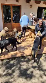 Refugi d'animals de Pollensa - Imagen 7