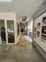 Carla Meier - Image 5