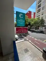 Carla Meier - Image 6