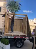 Excellent Mallorca Transporte - Bild 6