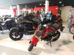 Motos Mallorca - Bild 3