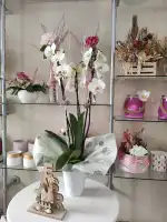 Floristería Rosazul - Bild 6