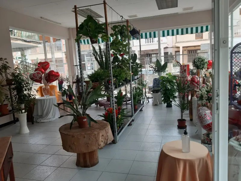 Floristeria Arenal 2 - Bild 1