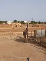 Estació de servei Repsol - Bild 4