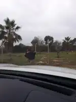 Estació de servei Repsol - Bild 7