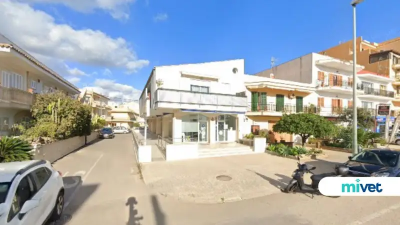 Clínica Veterinaria Alcúdia - Bild 1