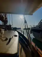 Gaff Charter - Image 4