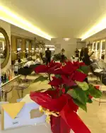 Francisco Peluqueros - Bild 9