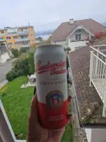 Gasolinera BP Son Bugadelles - Bild 6