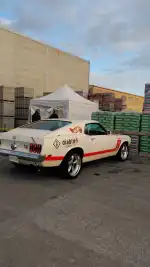 Gasolinera BP Son Bugadelles - Bild 9