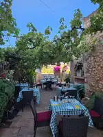 Son Alegre - Bild 10