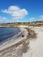 Parc des Carnatge - Imagen 9