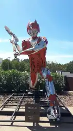 Torneo ATP Mallorca - Bild 8