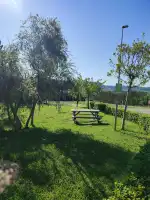 Benzineria SHELL - Bild 3