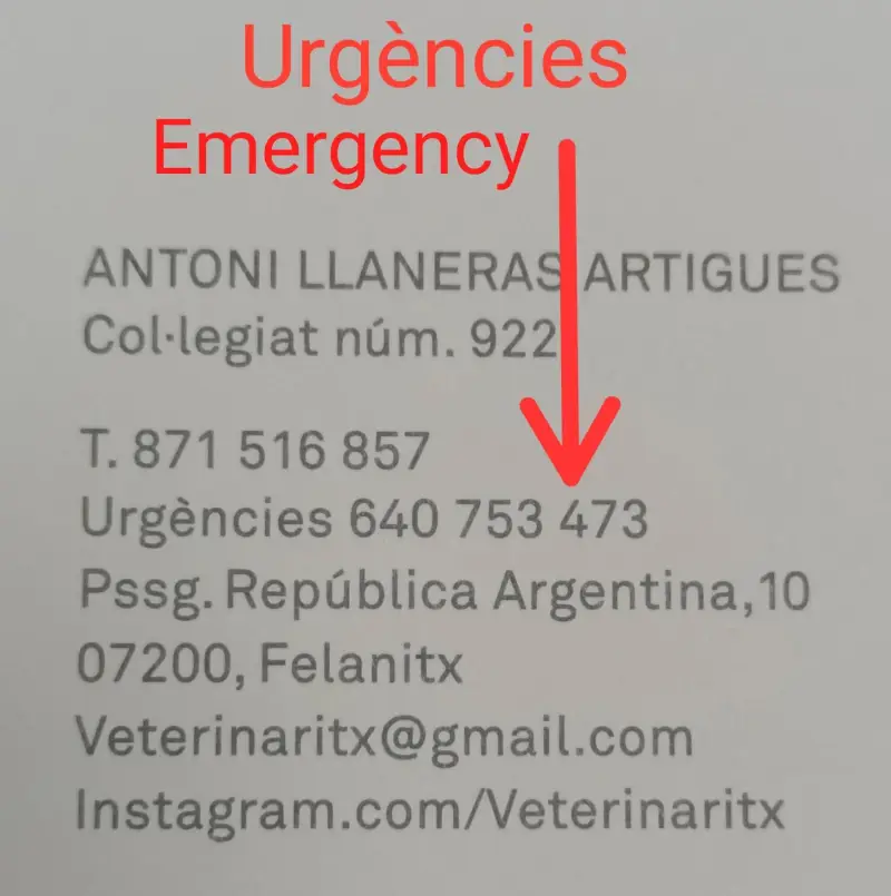 Veterinàritx Clínica veterinària - Bild 1