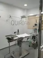 Veterinàritx Clínica veterinària - Bild 4