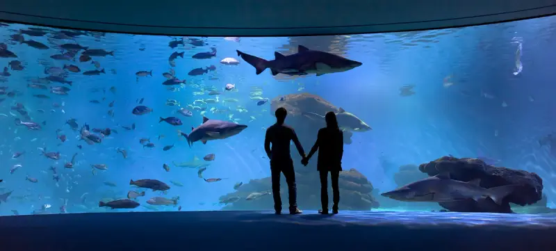 Palma Aquarium - Bild 1