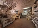 Garden Center Coppelmans - Imagen 9
