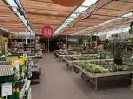 Garden Center Coppelmans - Imagen 7
