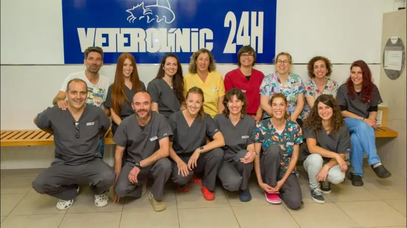 Hospital Veterinario Veterclínic Son Servera 24 h - Bild 1