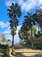 Cala Vinyes Beach - Imagen 7