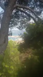 Parròquia de l'Assumpció de Nostra Senyora (Son Espanyolet) - Bild 7