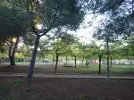Parque Bosque La Ribera - Imagen 3