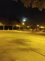 Parque Bosque La Ribera - Imagen 5