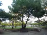 Parque Bosque La Ribera - Imagen 9
