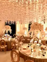 Viola Dreyer - Image 1