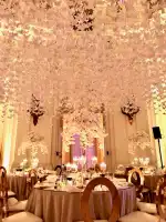 Viola Dreyer - Image 8