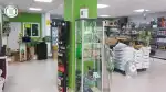 Mallorca Green grow shops - Bild 3