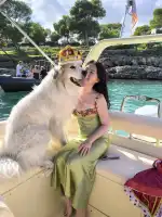 Boat Charter - Bild 10