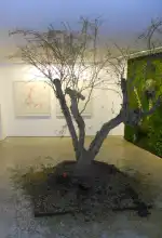 6A GALERÍA DE ARTE Y TALLER - Image 7