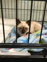 Clinica Veterinària Arxiduc - Bild 6