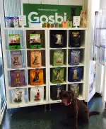 Clinica Veterinària Arxiduc - Bild 7