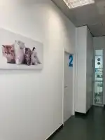 Clinica Veterinària Arxiduc - Bild 9