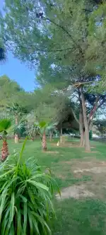 Padelmon Palmanyola - Imagen 10