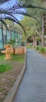 Padelmon Palmanyola - Imagen 10