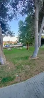 Padelmon Palmanyola - Imagen 6